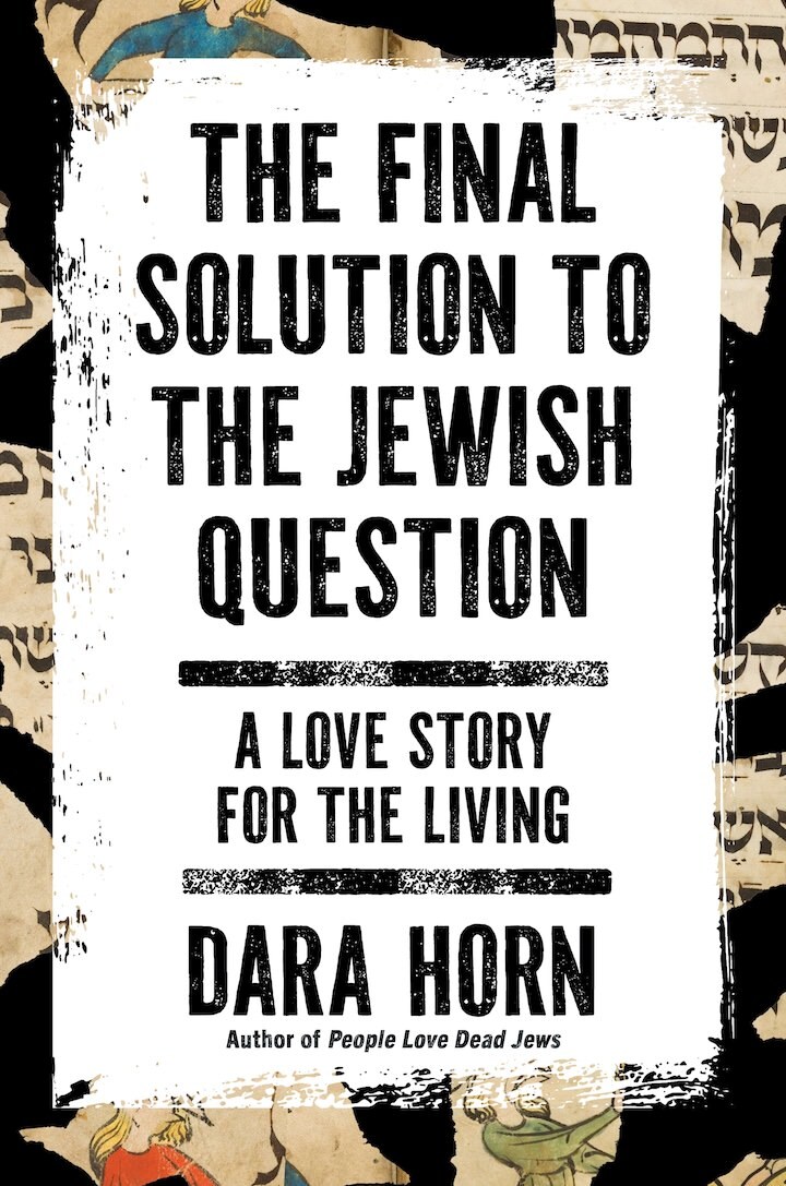 THE FINAL SOLUTION front cover